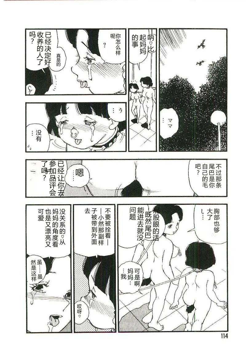 全集 113