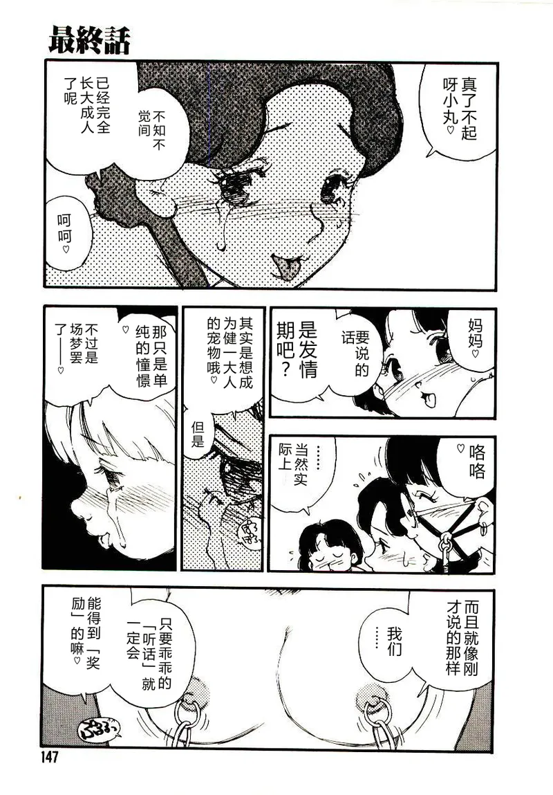全集 146