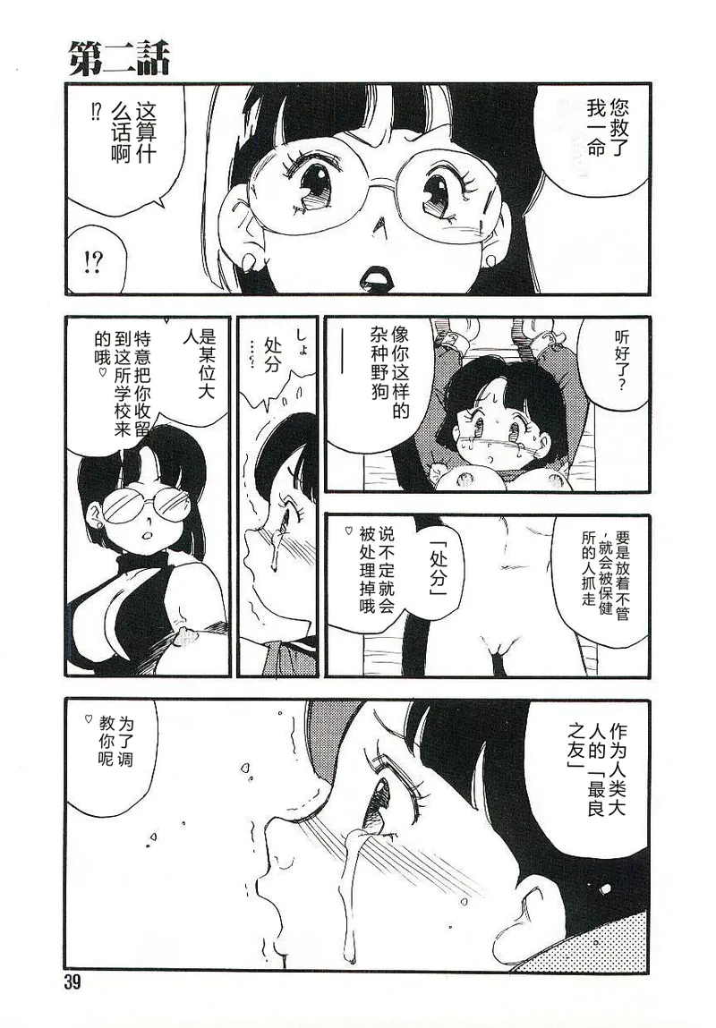 全集 38