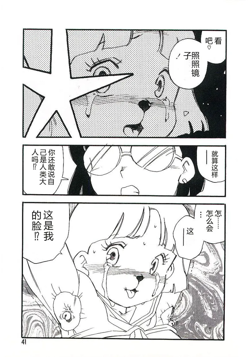 全集 40