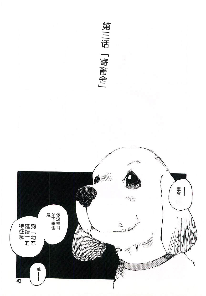 全集 42