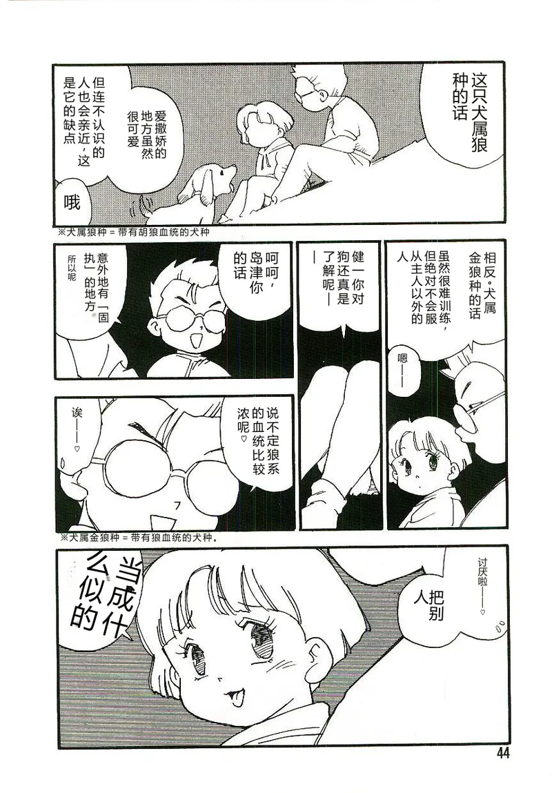 全集 43