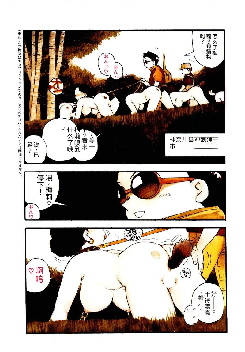 全集 5