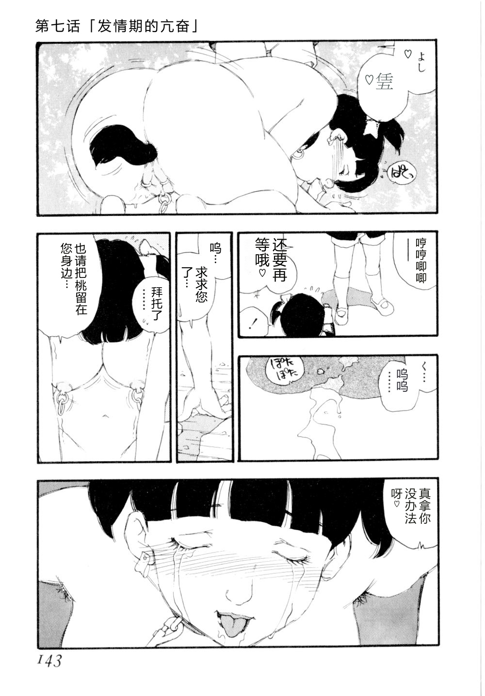 全集 146