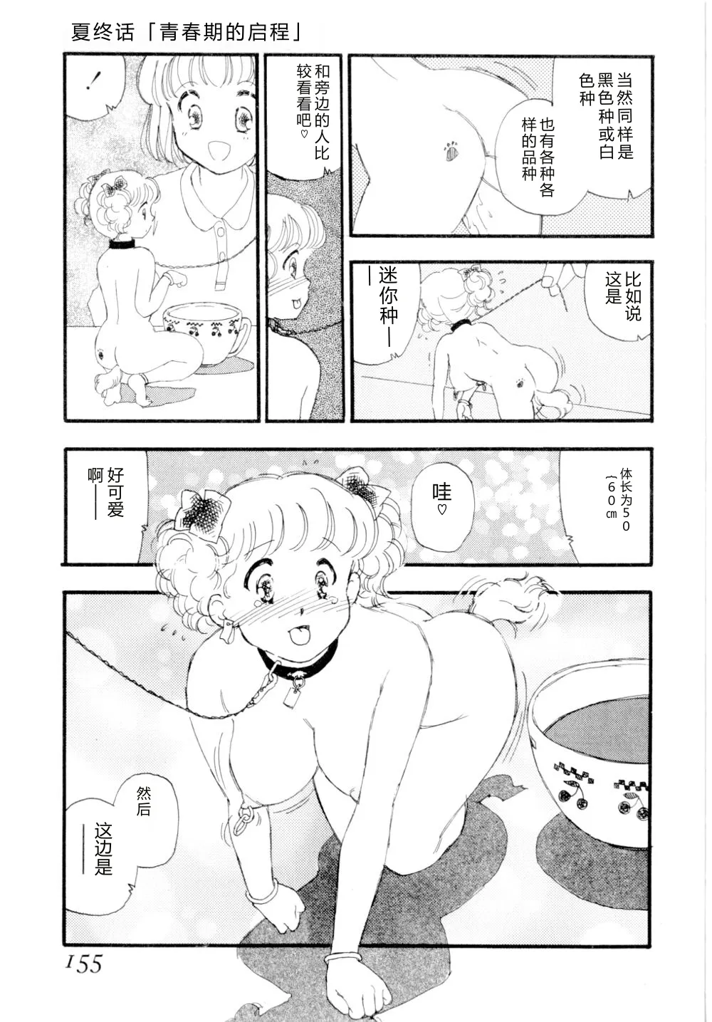 全集 158