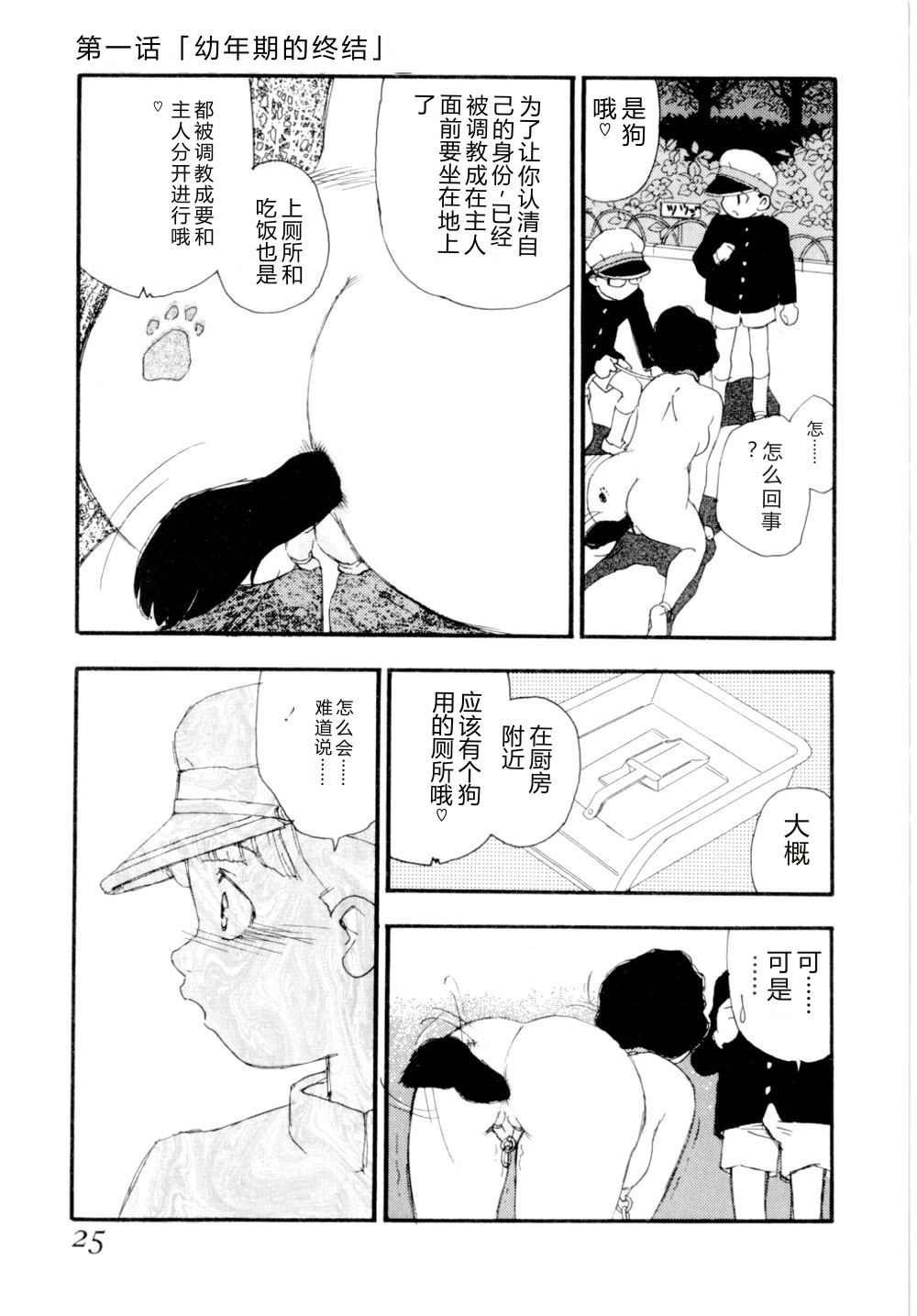全集 28