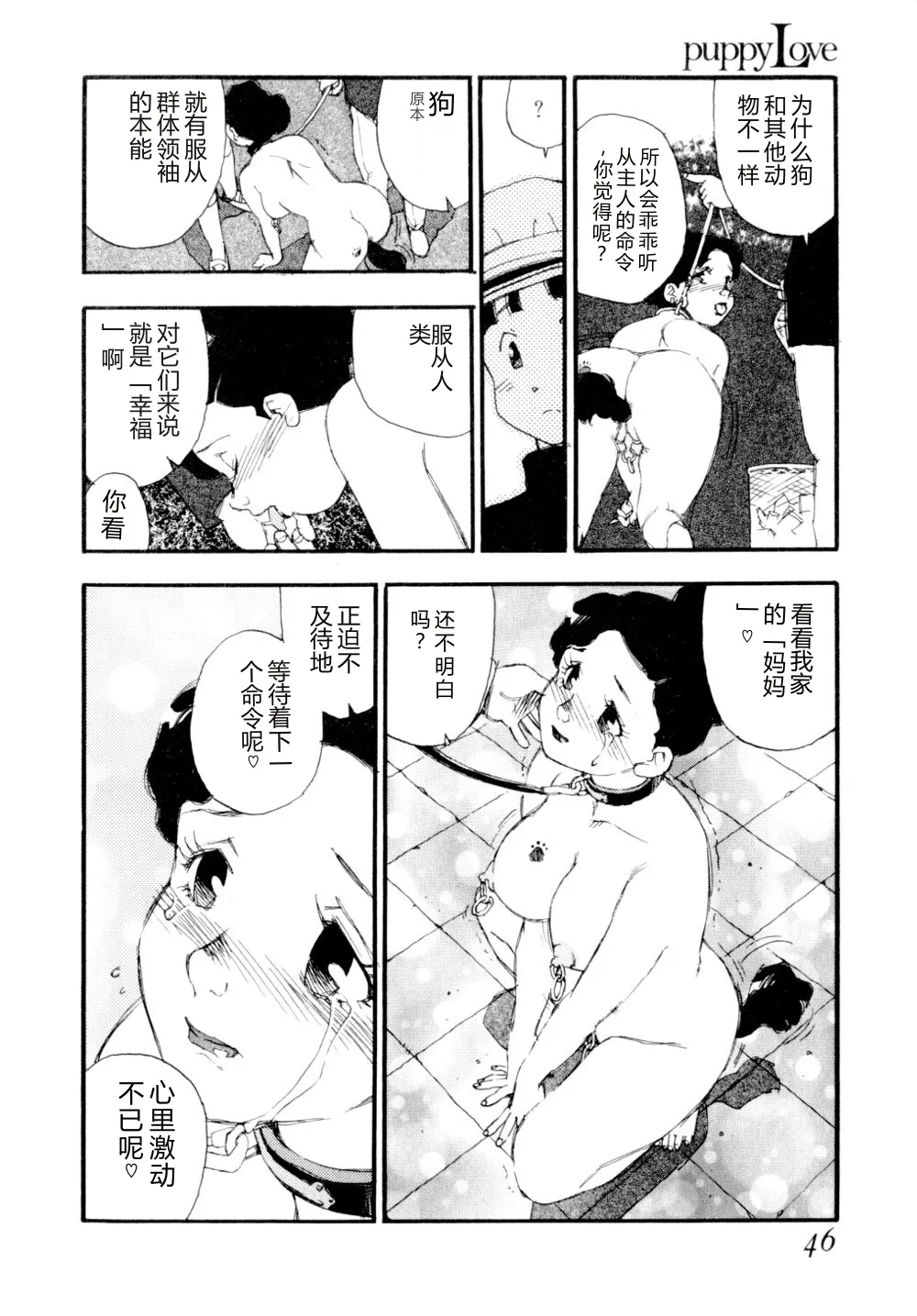 全集 49