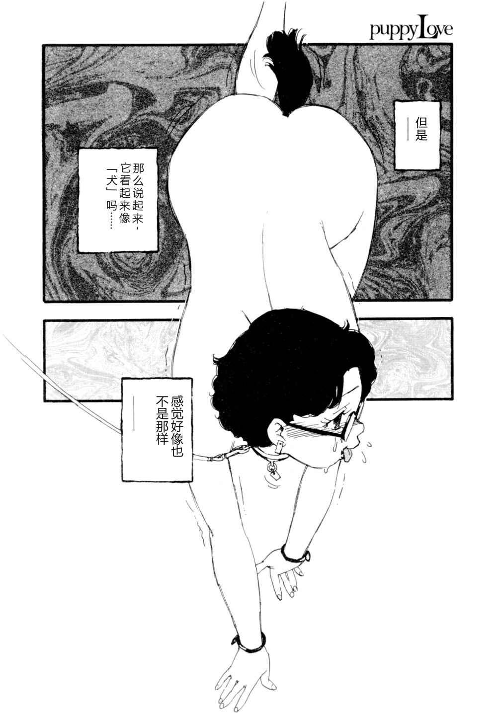 全集 79