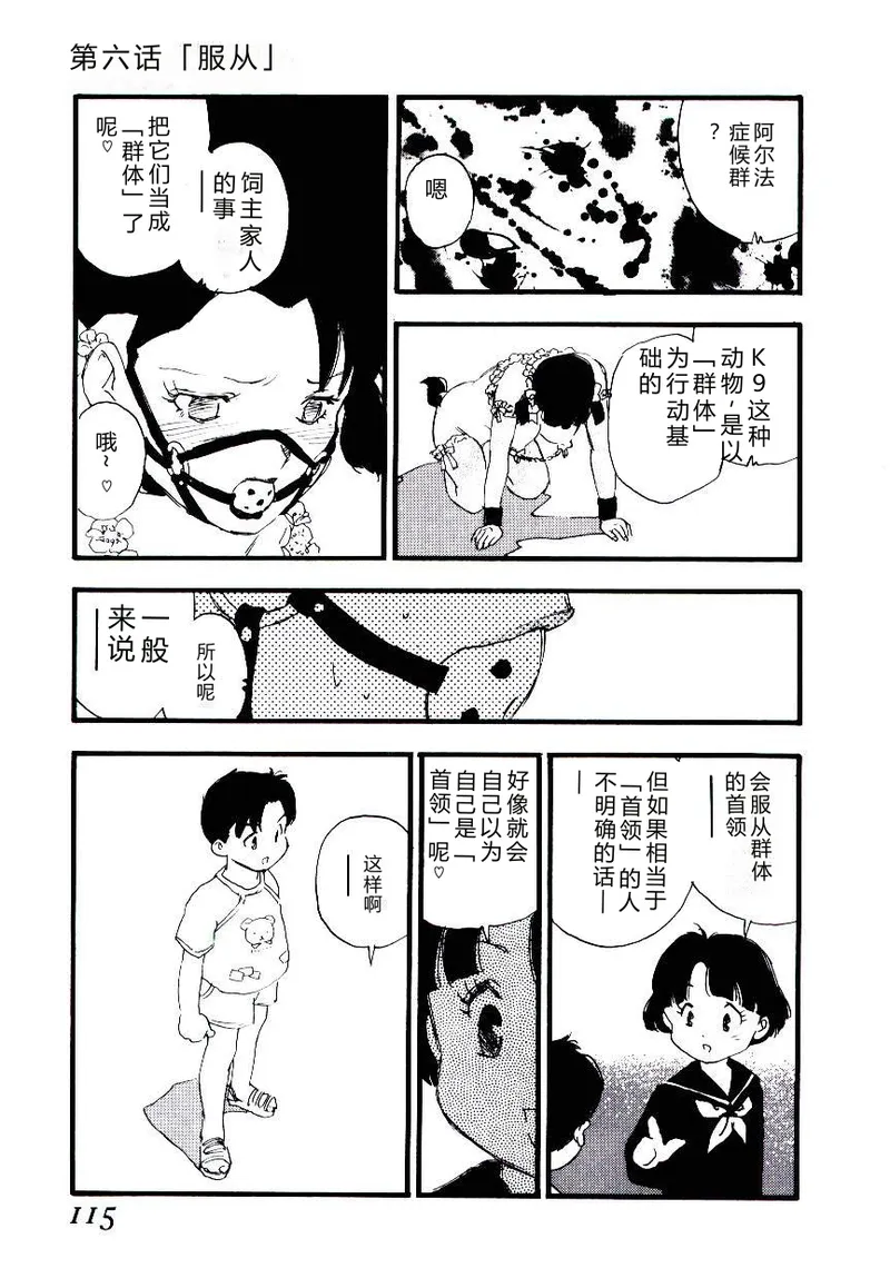 全集 114