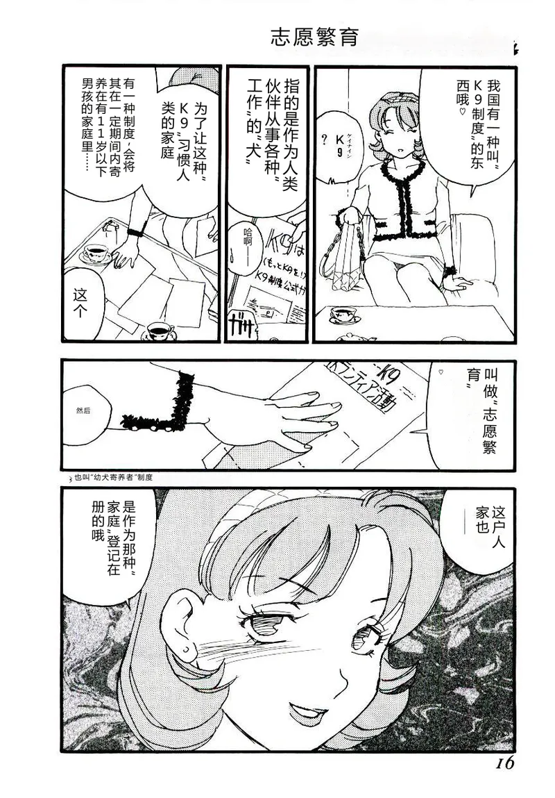 全集 15