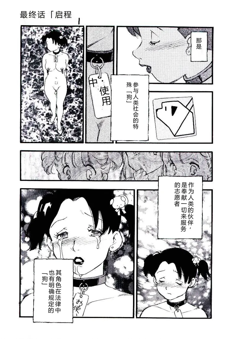 全集 154