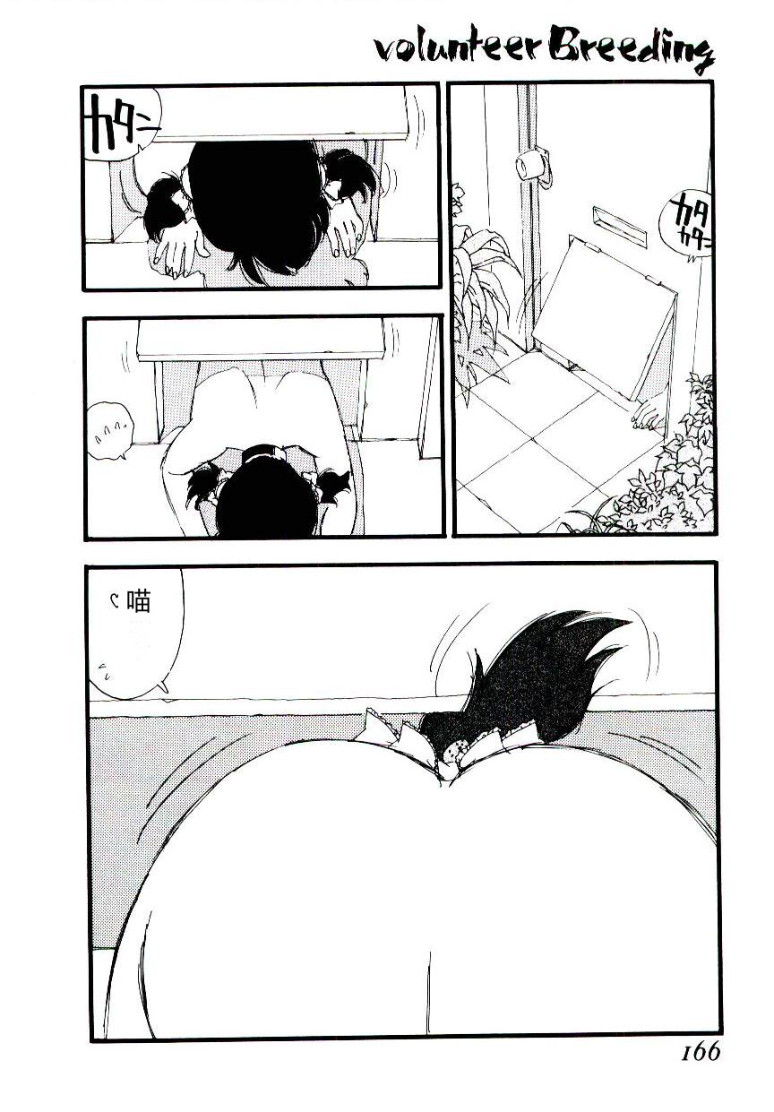 全集 165