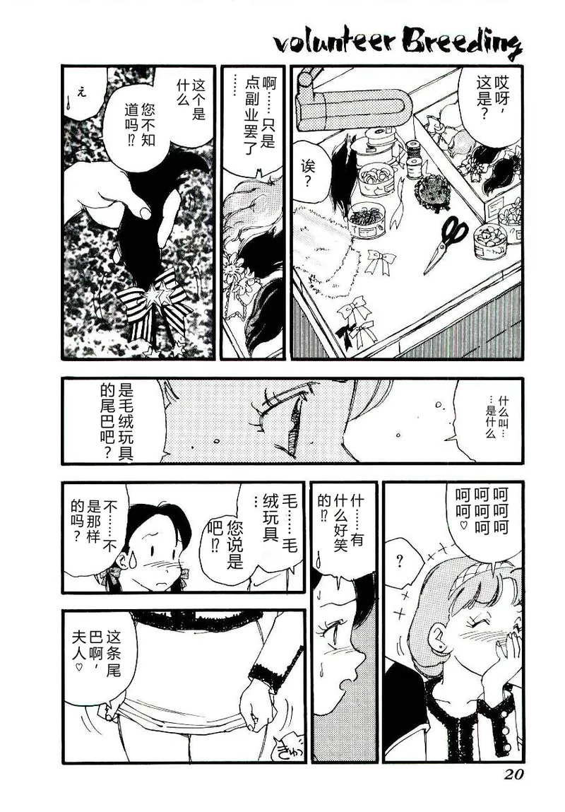 全集 19