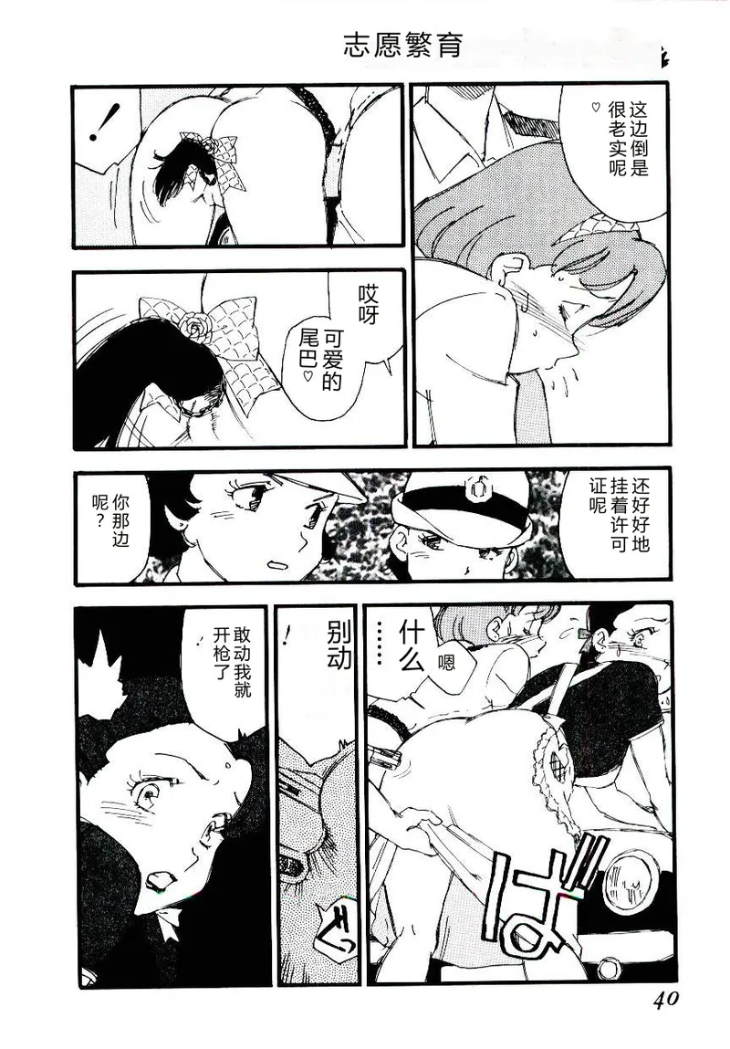 全集 39