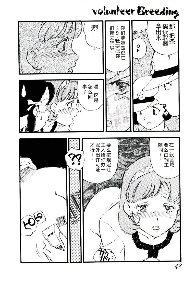 全集 41