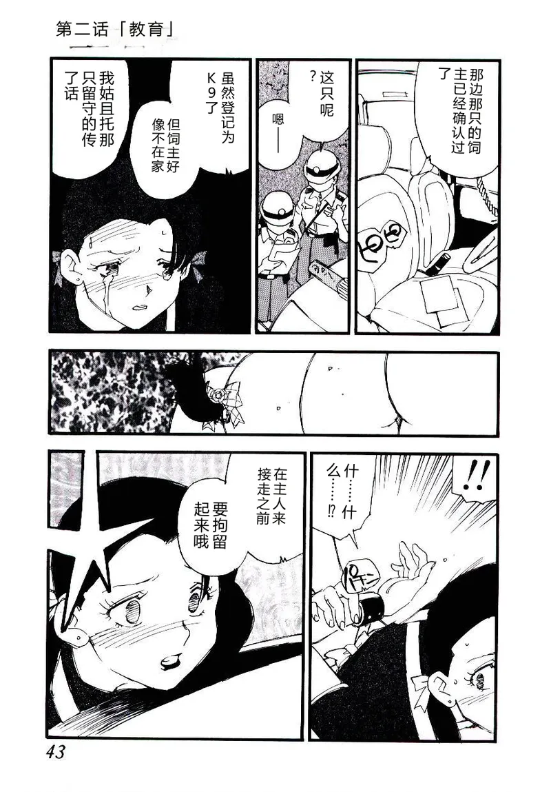 全集 42