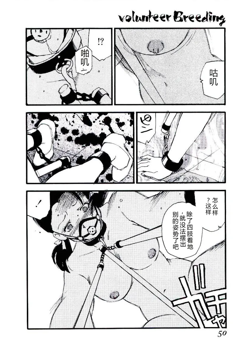 全集 49