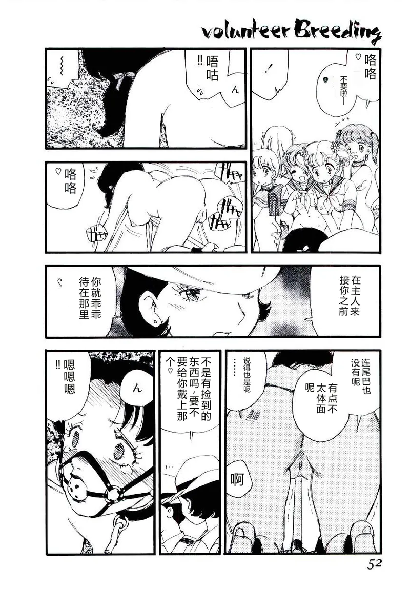 全集 51