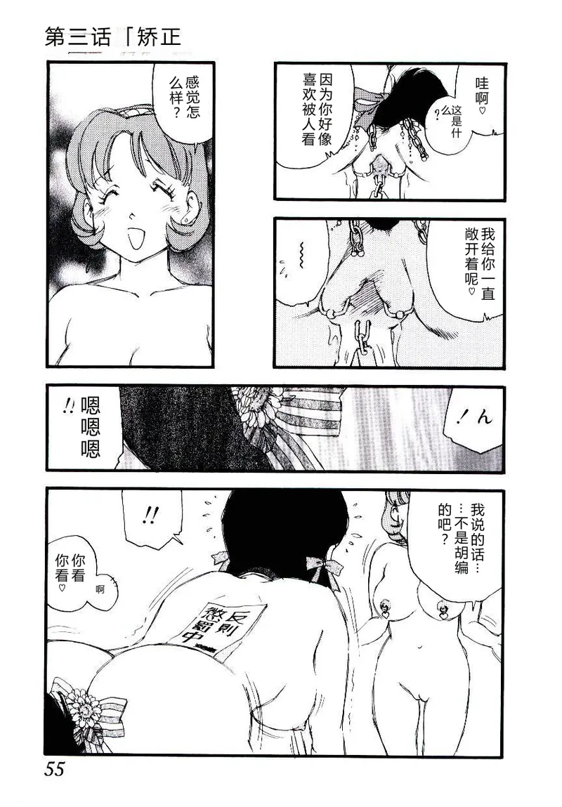 全集 54