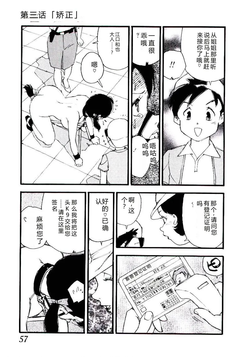 全集 56