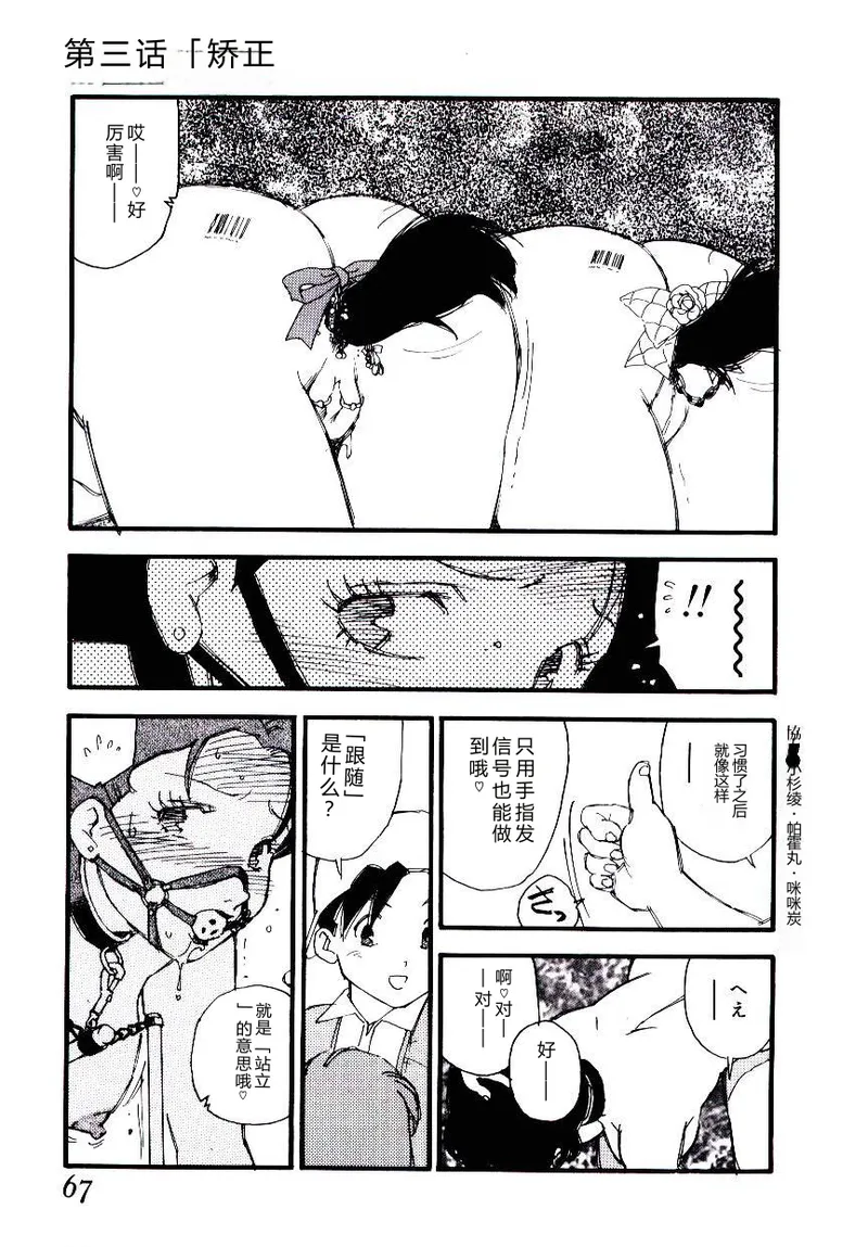 全集 66
