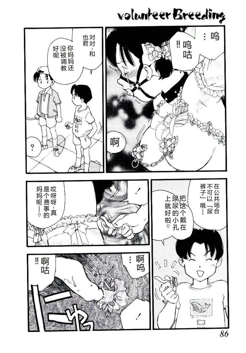 全集 85