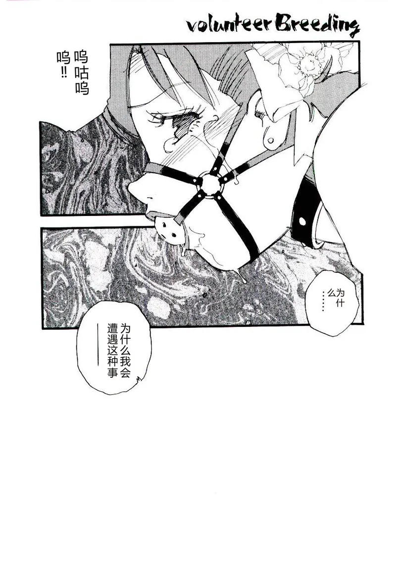 全集 87