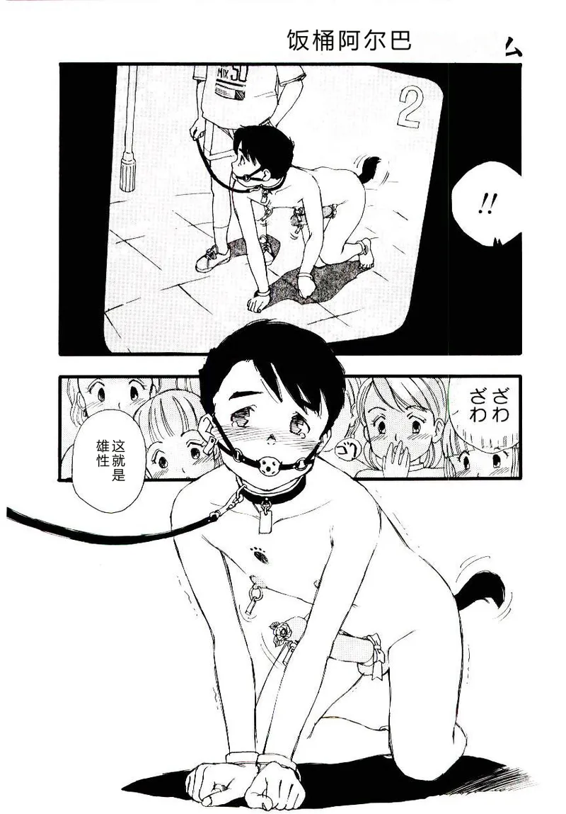 全集 117