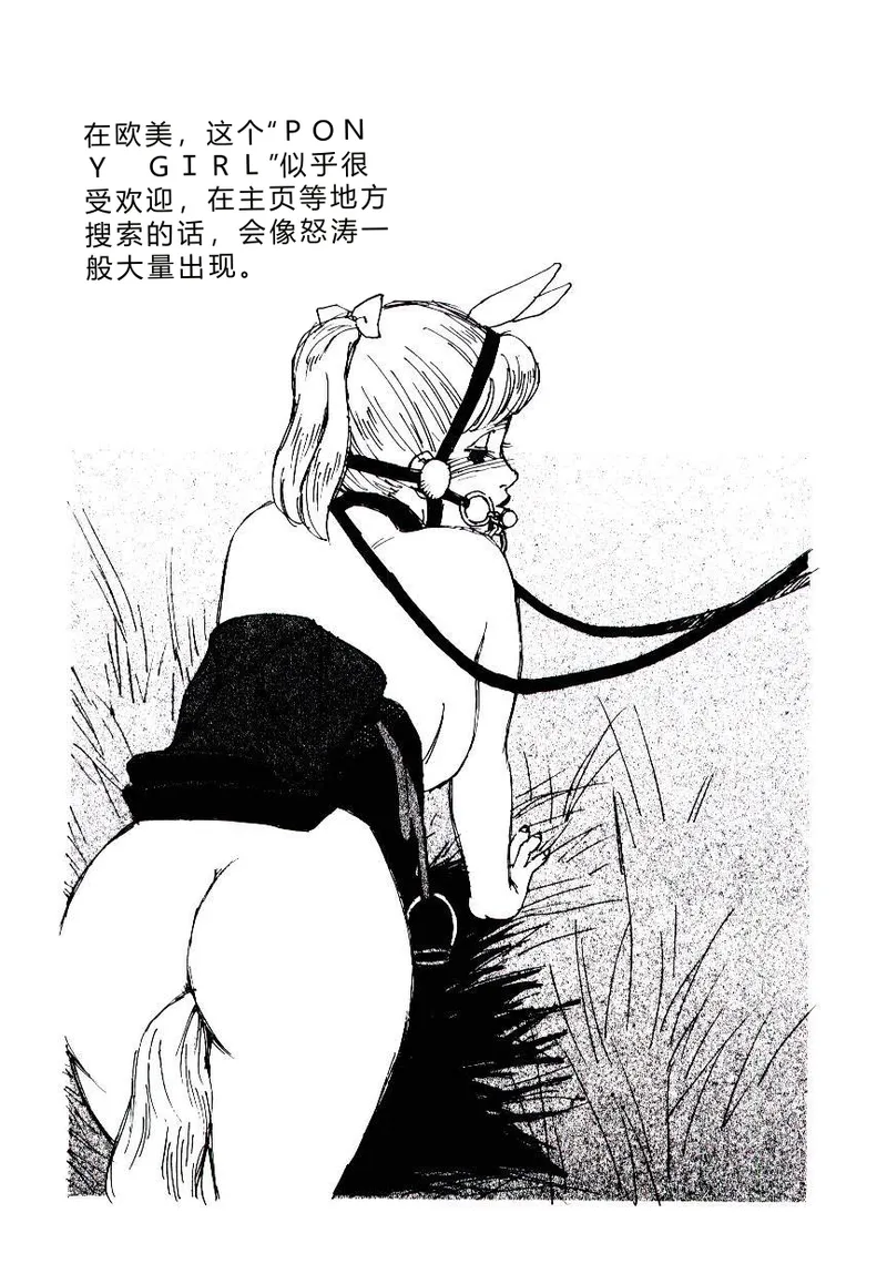 全集 166
