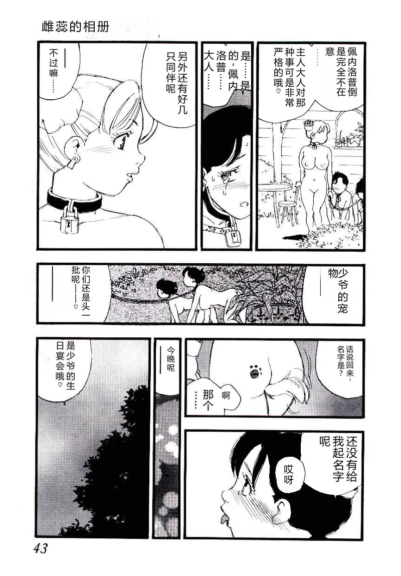 全集 42
