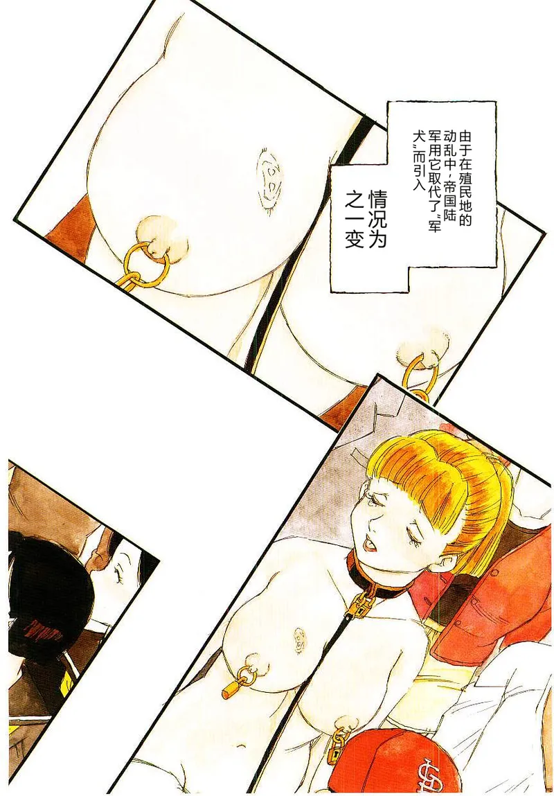 全集 5