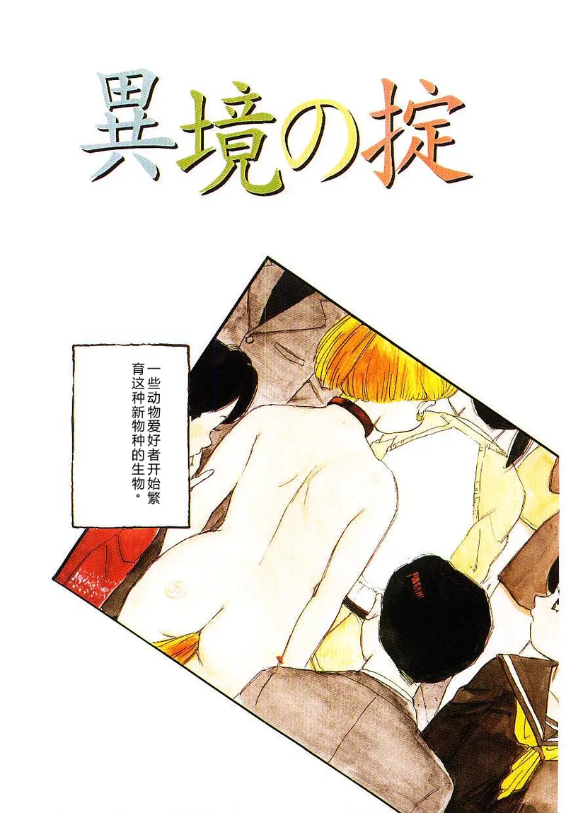 全集 6