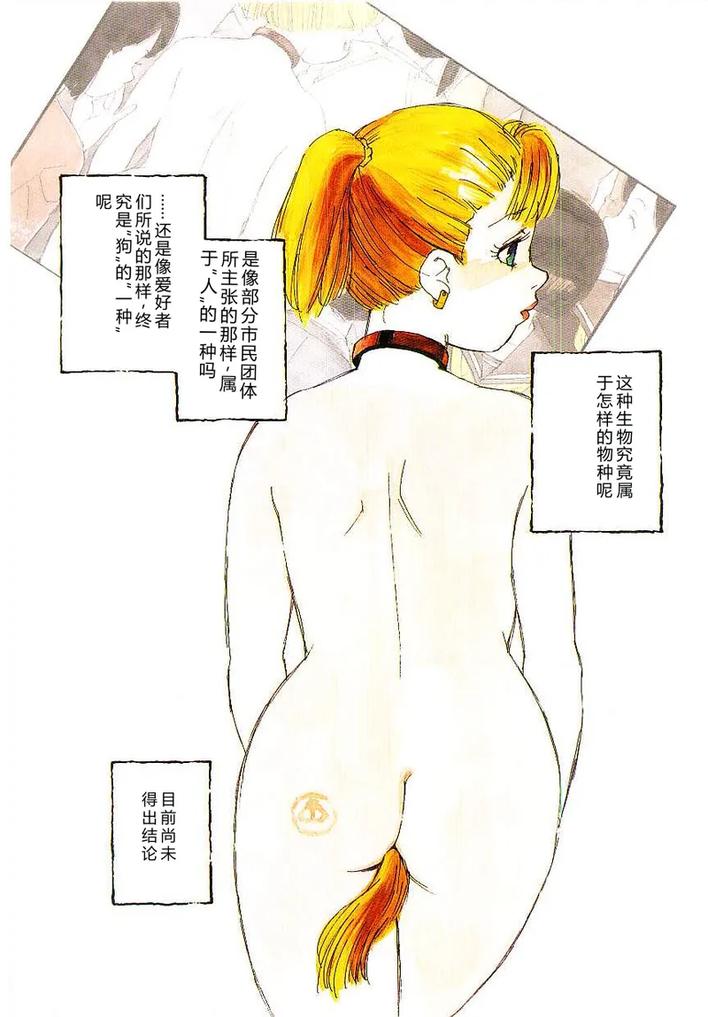 全集 7