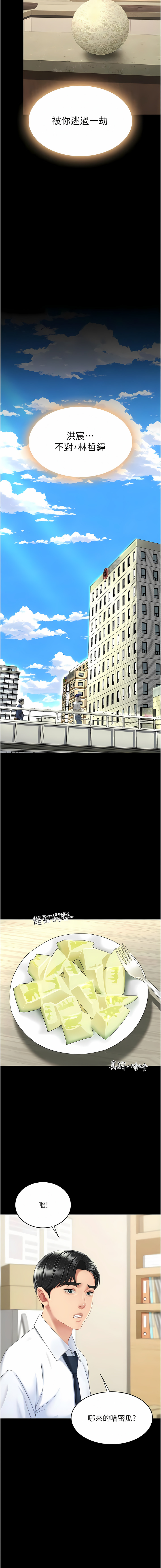 全集 16