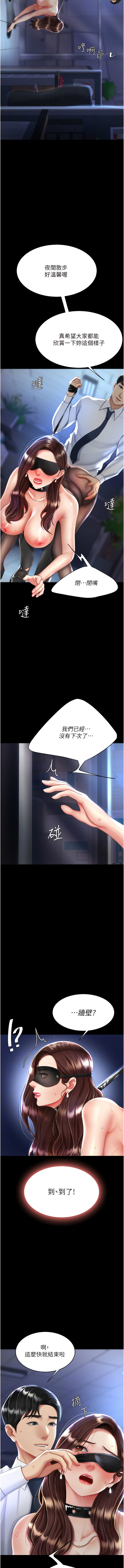 全集 11