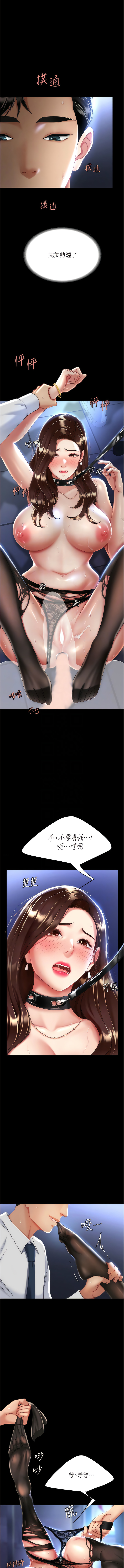 全集 31