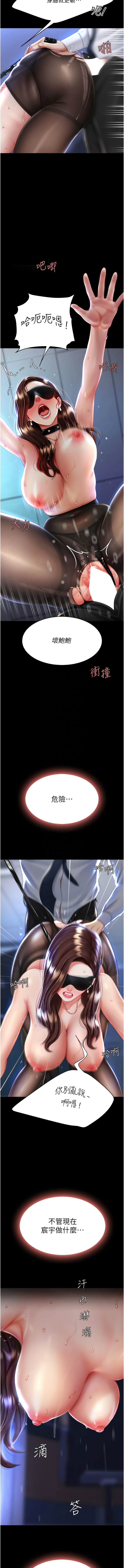 全集 6