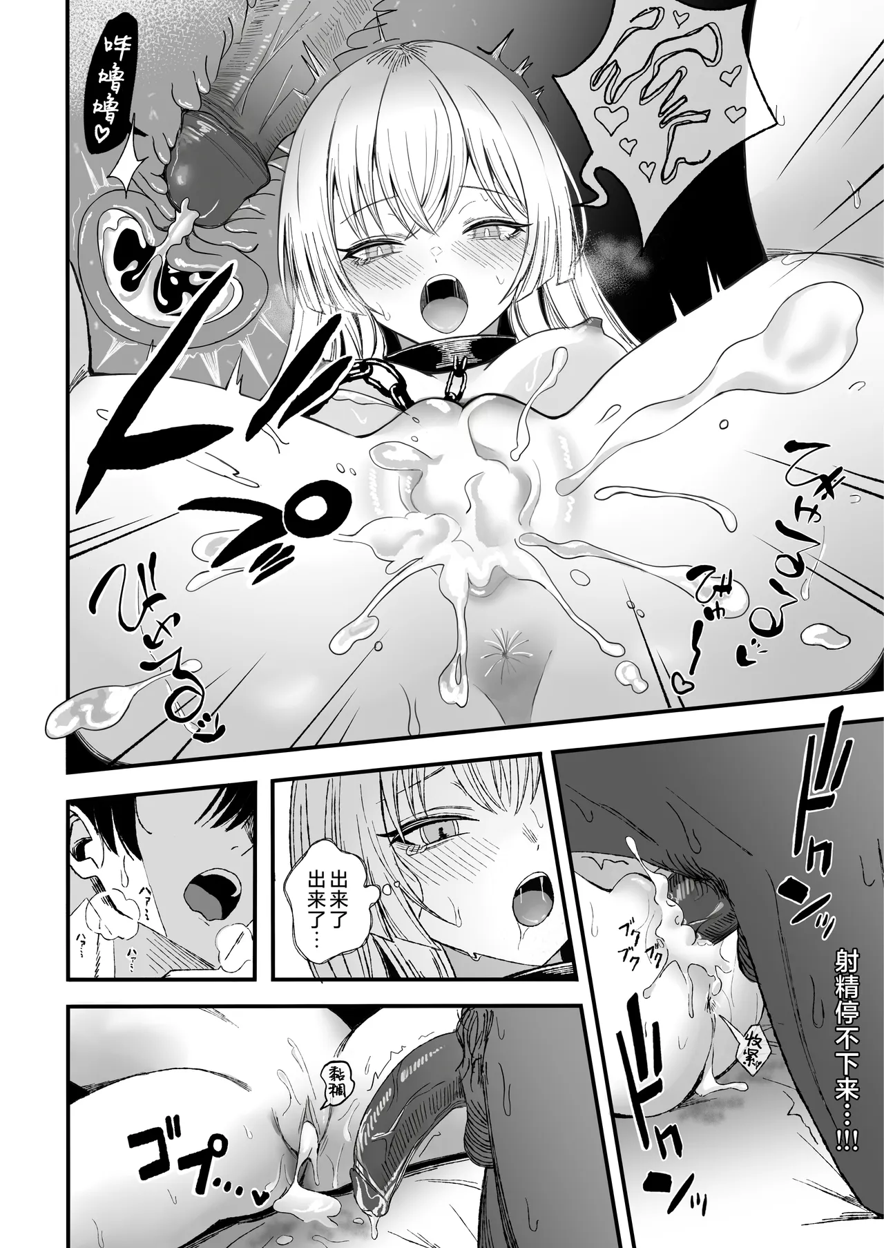 全集 41