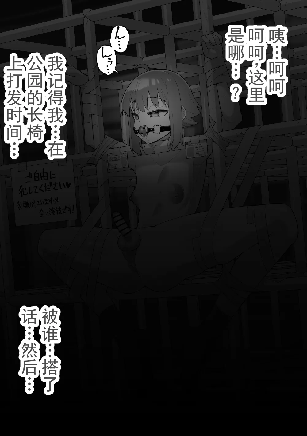 全集 6