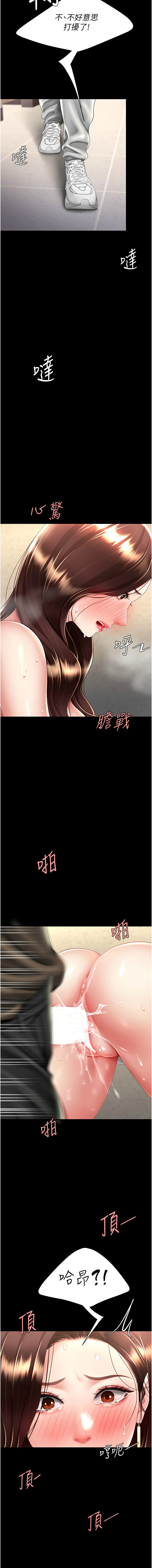 全集 113