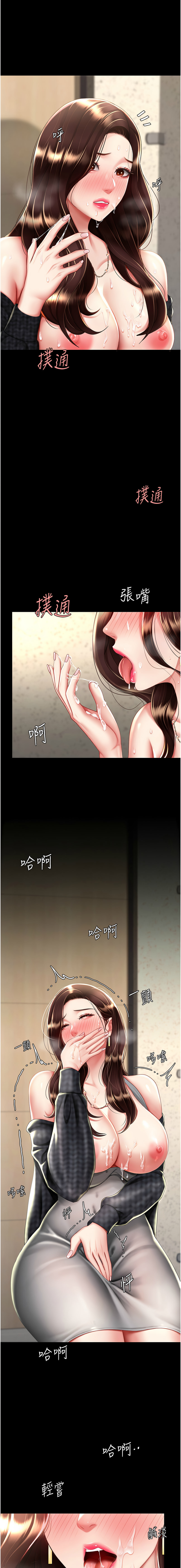 全集 84