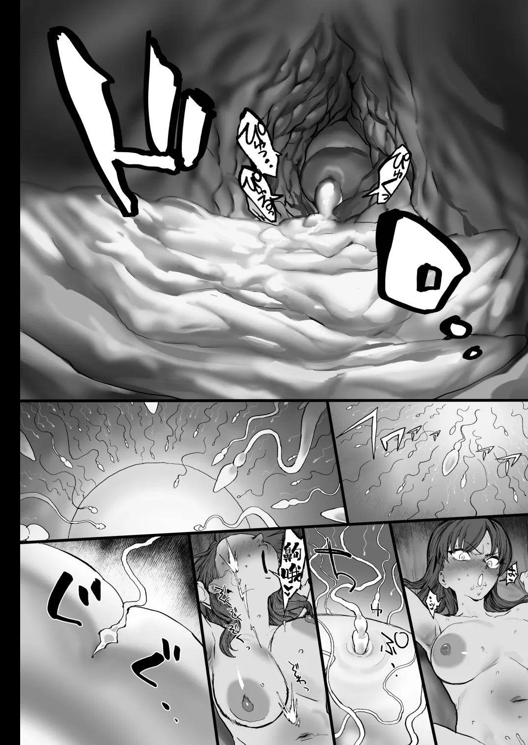 全集 48