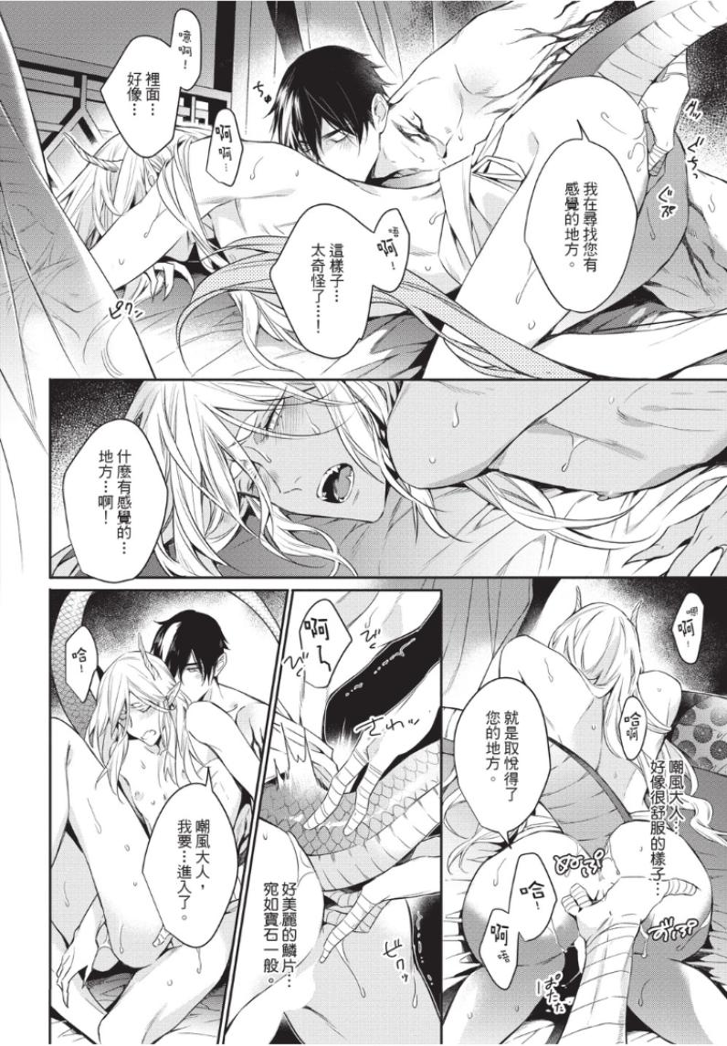 全集 40