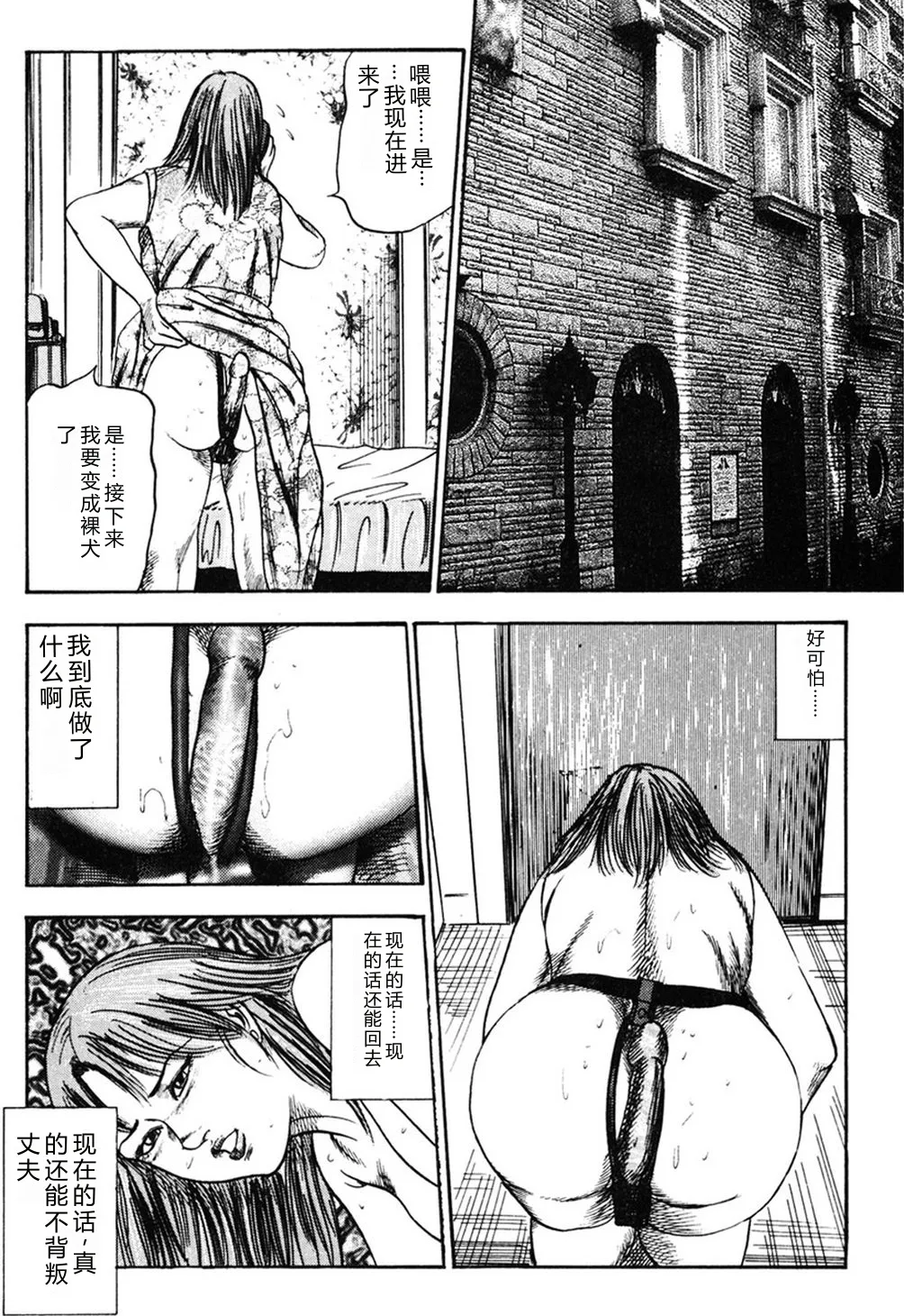 全集 164