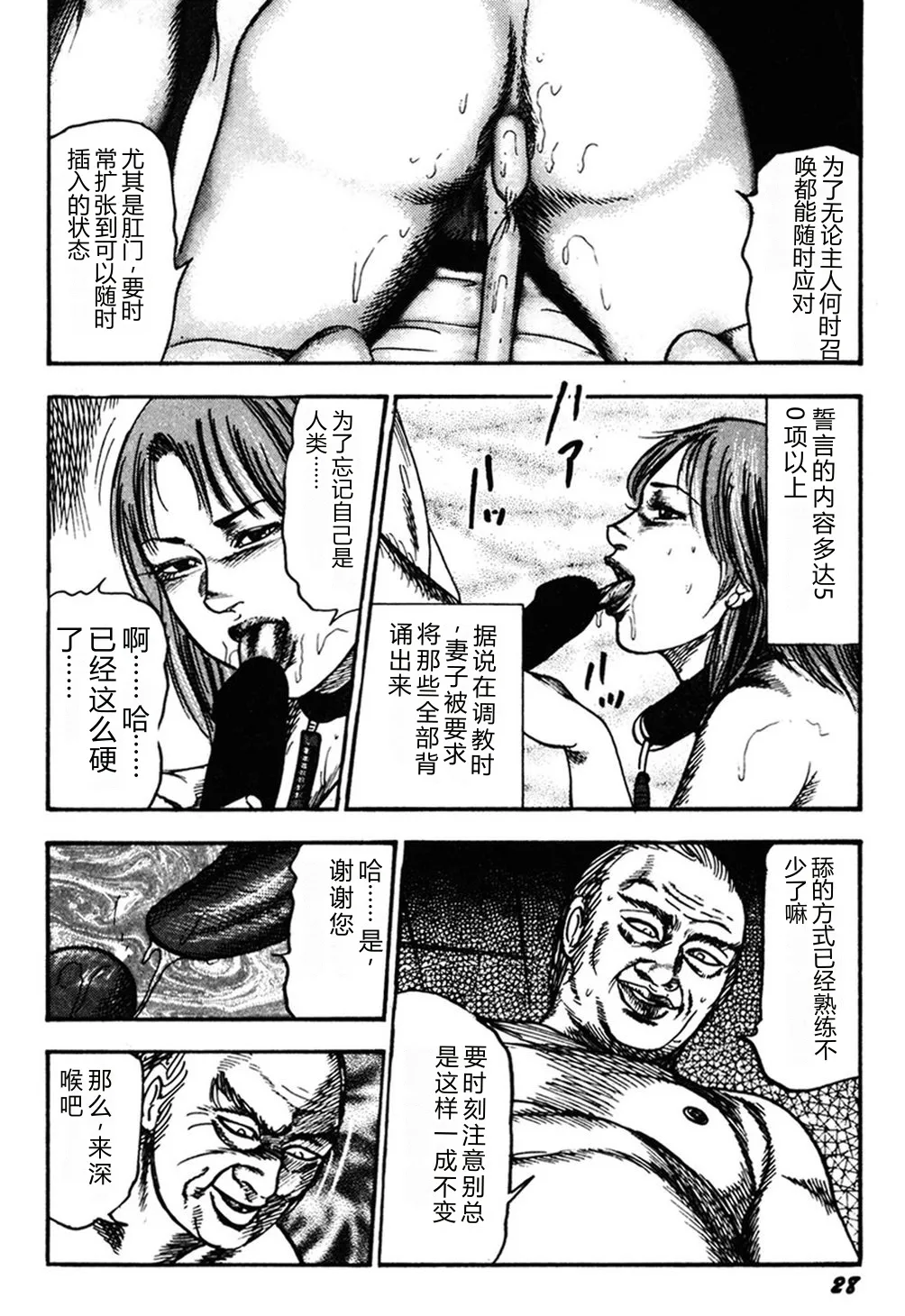 全集 27