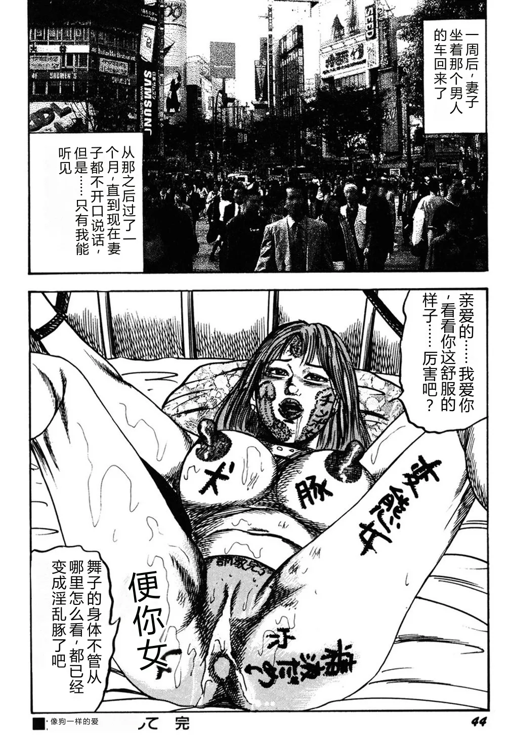 全集 43
