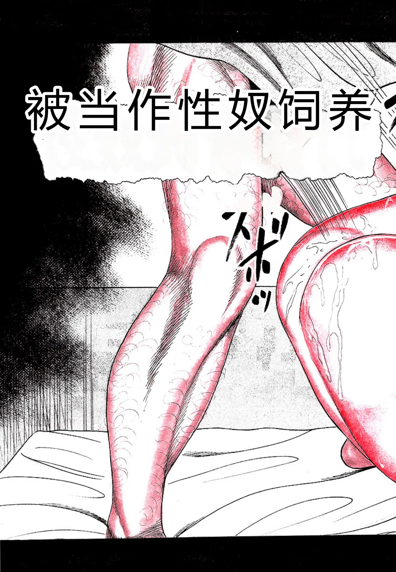 全集 105