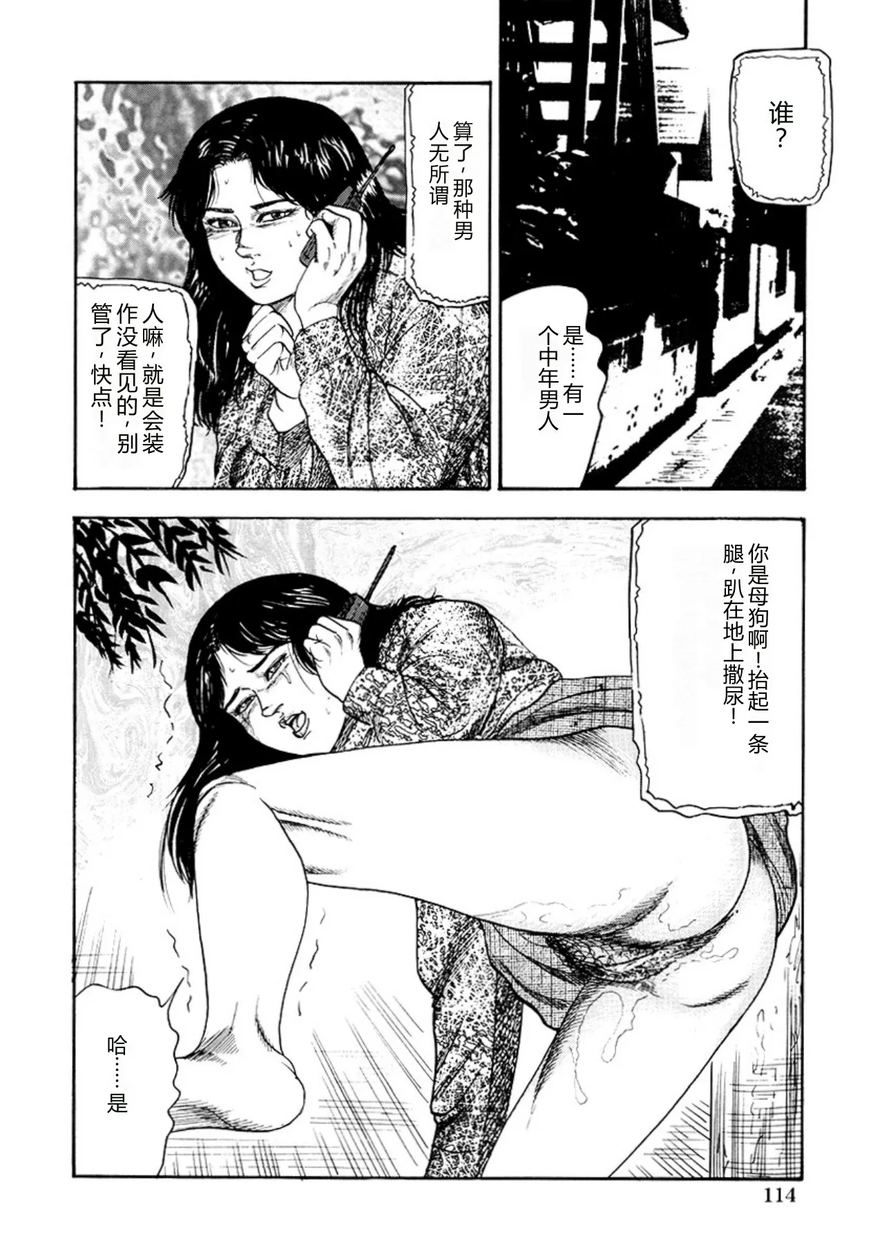 全集 116