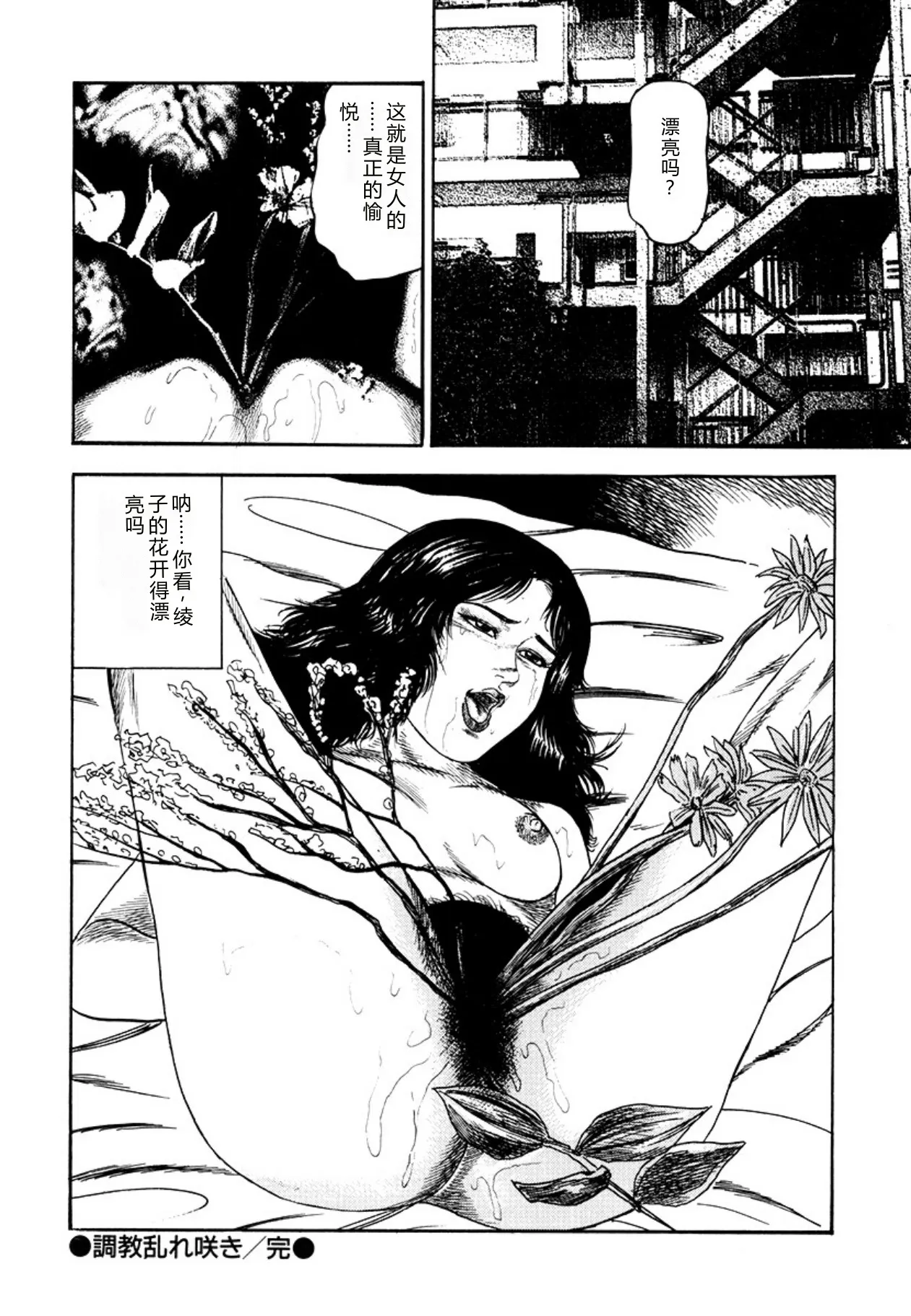 全集 82