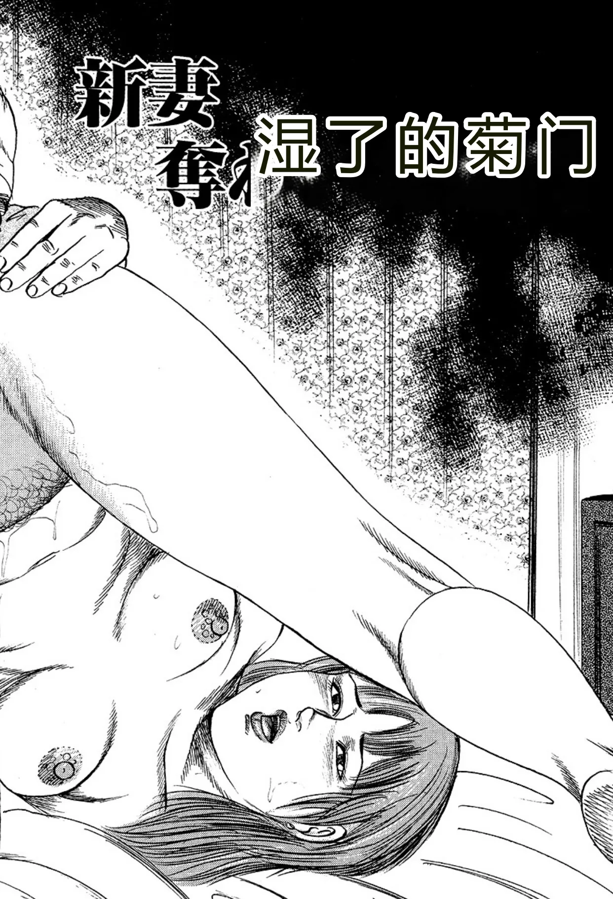 全集 42